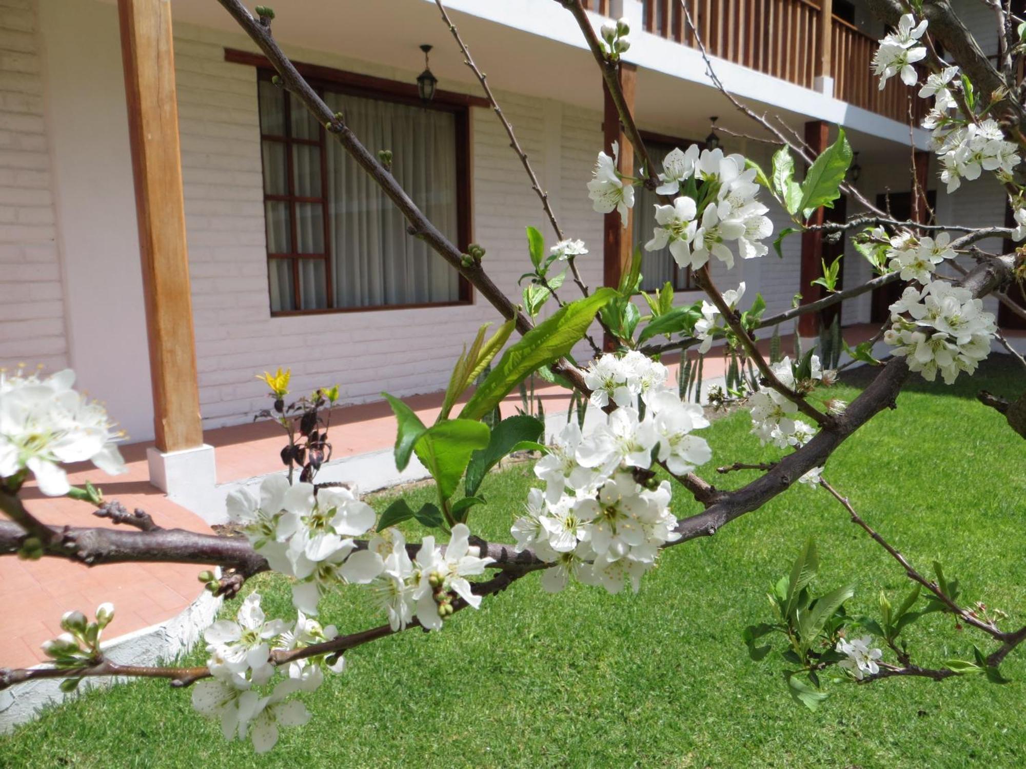 Hotel La Quinta San Andrés à Ibarra Extérieur photo
